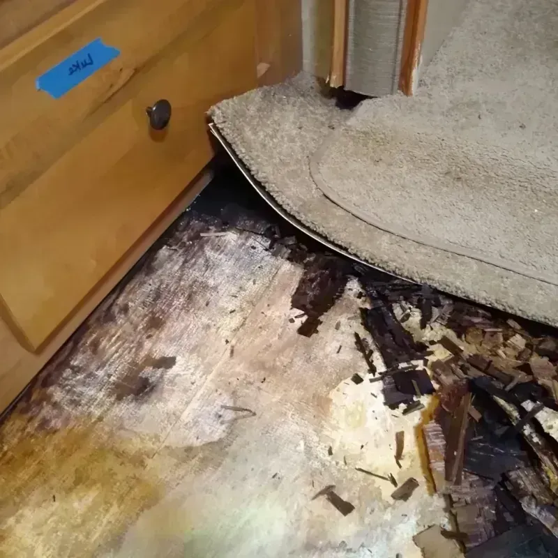 Wood Floor Water Damage in Monona County, IA